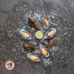 Гребешок морской Premium (Курильские острова) размер 30/40